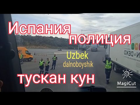 Видео: бу рейс Испаниядан политца тускан кун