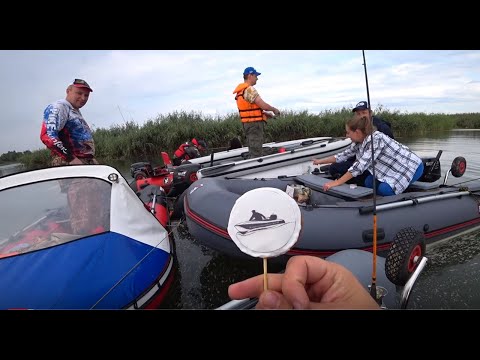 Видео: Судак и окунь на каждом забросе! База Веселая, Маныч. Выезд клуба водномоторников
