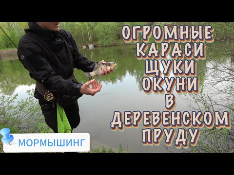 Видео: КАРАСЬ, ЩУКА, ОКУНЬ на МОРМЫШИНГ! Эта ПРИМАНКА ловит ВСЮ РЫБУ!