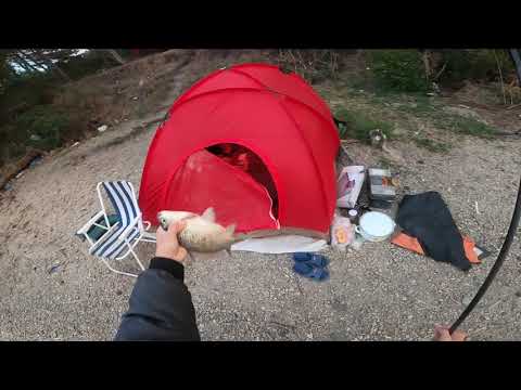 Видео: Риболов на гълъбово с баща ми, 1-ва част