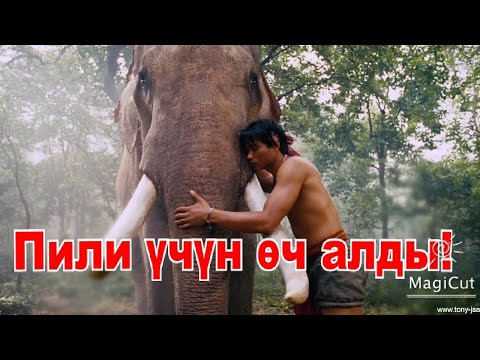 Видео: Кылмыштуу иштин бетин ачып пилдерди сактап калды!#кино #кыргызча #кыска