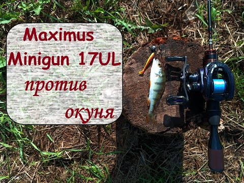 Видео: Maximus Minigun 17UL против окуня