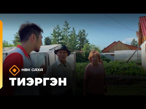 Видео: «Тиэргэн»: Бүлүүгэ Петровтар тиэргэннэригэр (02.09.25)