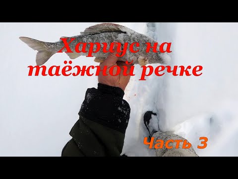Видео: ХАРИУС  НА ТАЁЖНОЙ РЕЧКЕ \ Часть 3 \ ПОСЛЕДНИЙ ДЕНЬ ЗИМЫ \ УЛОВ РАСТЁТ