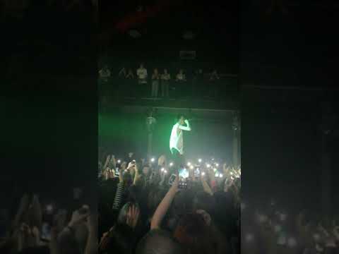 Видео: ПОШЛАЯ МОЛЛИ - 24/02/2020 - ВОРОНЕЖ /CTRL+ZZz/