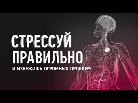 Видео: Как прожить СТРЕСС до конца и ПОЛНОСТЬЮ ВОССТАНОВИТЬСЯ? Твое тело это оценит