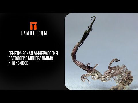 Видео: Генетическая минералогия. Патология минеральных индивидов