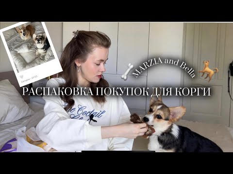 Видео: Распаковка покупок для собак | все для корги