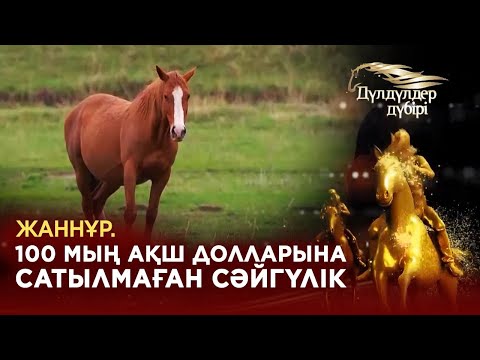 Видео: Жаннұр. 100 мың долларға сатылмаған сәйгүлік. «Дүлдүлдер дүбірі».