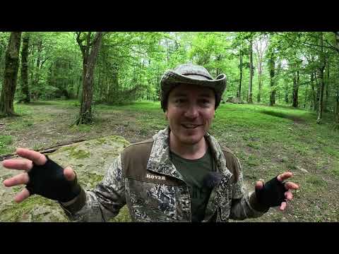 Видео: Сочи и неуловимые птицы. 4-7 мая 2024. Дневник натуралиста.