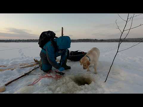 Видео: Рыбалка на налима / От рассвета до заката на реке / Она таскает рыбу как профессионал / Черная дыра