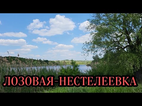 Видео: Дорога Лозовая-Нестелеевка 09.06.2023