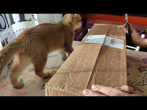 Видео: САЖЕНЦЫ из ПИТОМНИКА АРОМАТ РОЗ🌹🌹🌹🤗. ОБЗОР ПОСЫЛОЧКИ