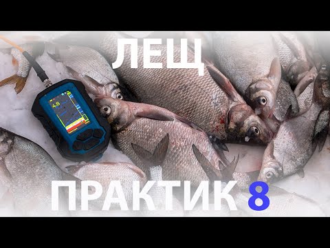 Видео: Кормим леща с Практик 8