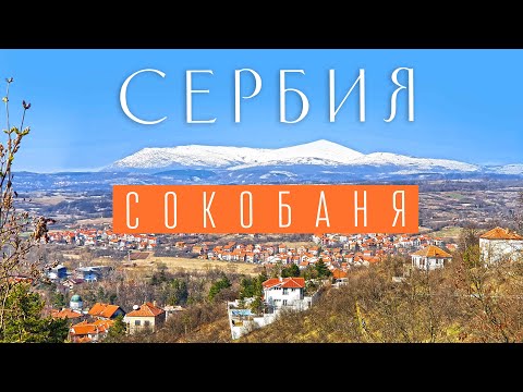 Видео: Почём бани в Сокобани.