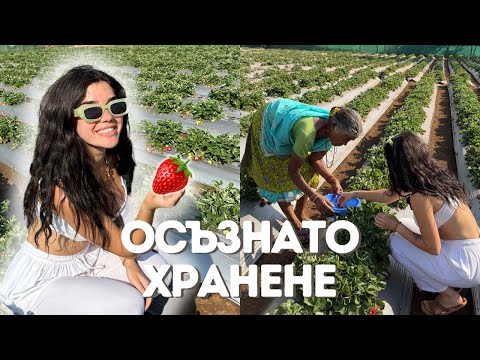 Видео: Ферма за подправки в Индия
