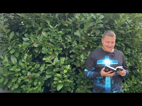 Видео: Хочу чтобы вы верили /1185/ Мария говорит практические вещи