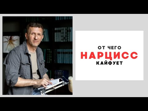 Видео: от чего нарцисс кайфует