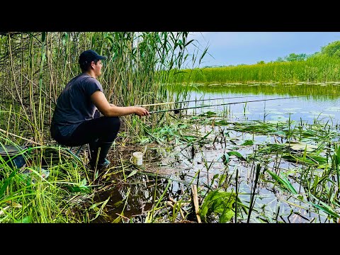 Видео: Наловив КАРАСЯ на ПОПЛАВОК клюнув РИЖИЙ!!! Зробив місце для рибалки!!