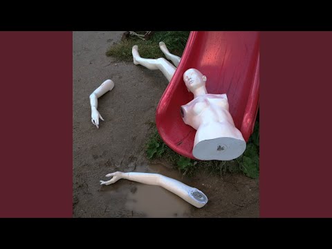 Видео: выбирать