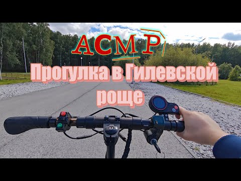 Видео: АСМР Прогулка в Гилевской роще от 1 лица