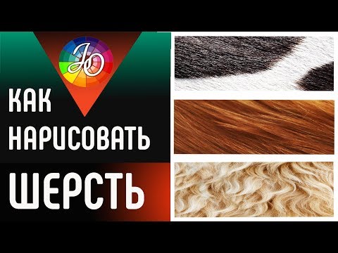 Видео: МАСТЕР-КЛАСС. Как нарисовать шерсть или мех цветными карандашами