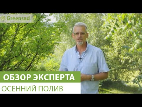 Видео: Осенний полив