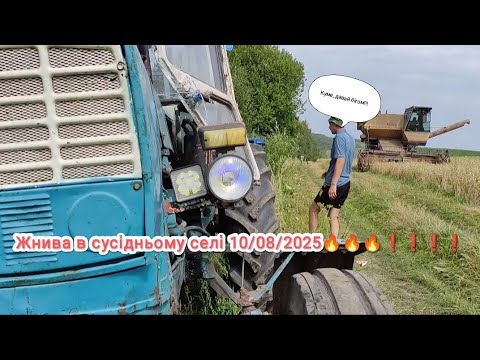 Видео: Жнива 10/08/2025🔥🔥🔥 Ну просто відпочинок для душі🤤🤤🤤