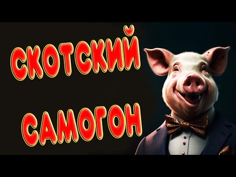 Видео: ЭТОТ РИС НЕЛЬЗЯ ЕСТЬ, но я сделал из него САМОГОН! Что получилось?