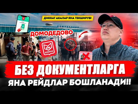Видео: ДИККАТ АКАЛАР ЯНА ТЕКШИРУВ! АЭРАПОРТ ДОМАДЕДОВО БЕЗ ДОКУМЕНТЛАРГАЯНА РЕЙДЛАР БОШЛАНАДИ