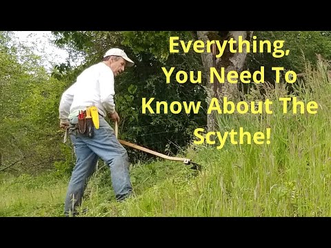 Видео: Все, что нужно знать о косе