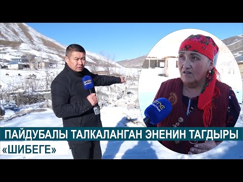 Видео: ПАЙДУБАЛЫ ТАЛКАЛАНГАН ЭНЕНИН ТАГДЫРЫ//ШИБЕГЕ