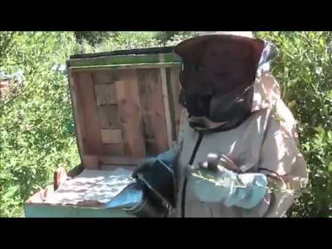 Видео: ИННОВАЦИОННАЯ РАМКА