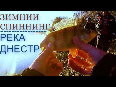 Видео: На что клюёт ОКУНЬ !!! КЛАССНАЯ РЫБАЛКА НА РЕКЕ ДНЕСТР С ДРУЗЬЯМИ.