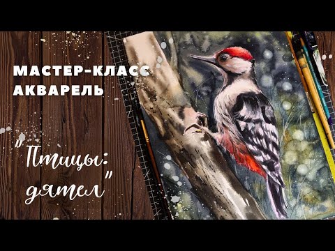 Видео: Урок по акварели «Дятел»
