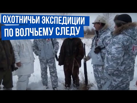 Видео: По волчьему следу \ Охотничьи экспедиции. Сезон 1.
