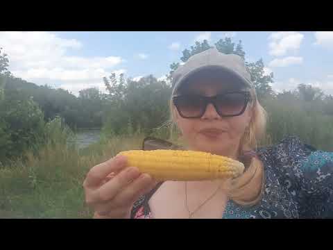 Видео: Знову річка#спіймали щуку#загадали бажання#🦈
