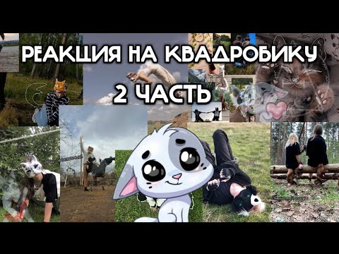 Видео: РЕАКЦИЯ на КВАДРОБИКУ // ВТОРАЯ ЧАСТЬ // Подпишись на тгк