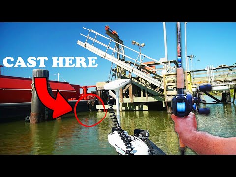 Видео: Исследуем места промышленной рыбалки в заводях!