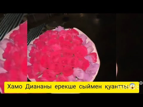 Видео: Хамо Диананы ерекше сыймен қуантты 😱 Жастар бақытты болсын😍#аида #qoslike #хамодиана #хамо #диана