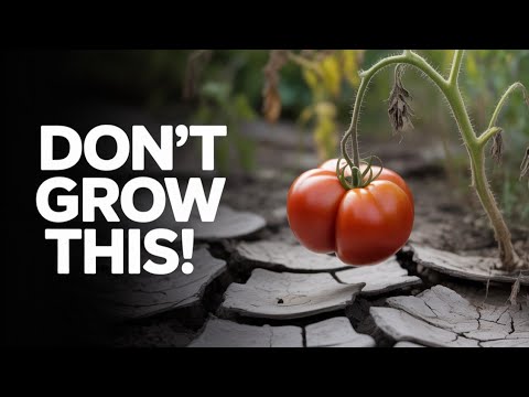 Видео: 15 культур, которые вам не стоит выращивать!