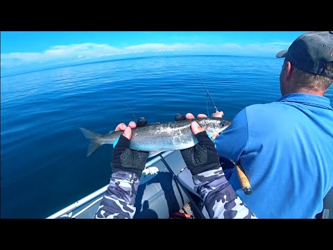 Видео: Летняя рыбалка на Байкале.