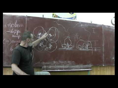 Видео: Драконоведение. Часть 33