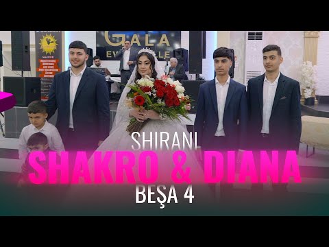 Видео: Shakro & Diana // Shirani//Езидская помолвка//Dawata Ezdia 2023 PART 4