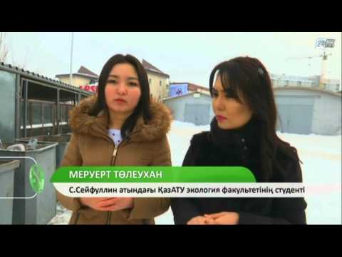 Видео: Жасыл экономика. Қағаз өнімдерін қайта өңдеу ісі