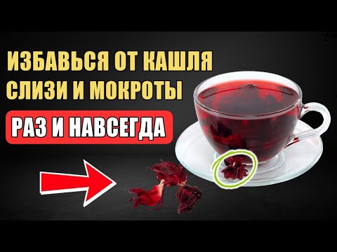 Видео: ЧАЙ от СЛИЗИ, МОКРОТЫ и ВЫДЕЛЕНИЙ в ГОРЛЕ — ДЁШЕВО и ПРОСТО