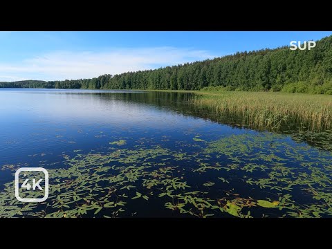 Видео: Прогулка на SUP по озеру на Карельском перешейке