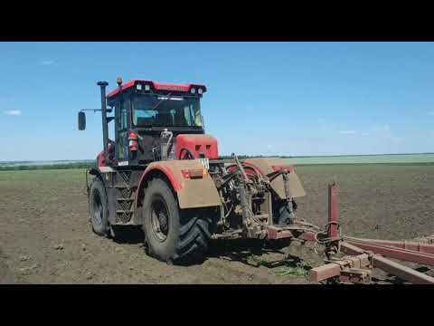 Видео: КПМ 8 4 года прошло, 7 т га. НЕДОСТАТКИ.