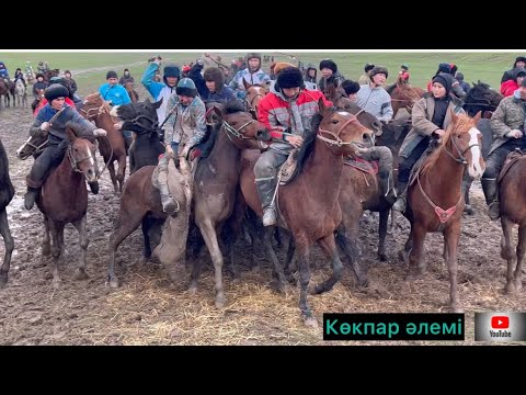 Видео: 1985 ж жігіттер берген сарсенбі көкпар мектеп жасындағы болашақ шабандоздар Алтынтобе Каржан