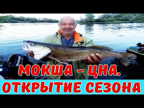 Видео: Мокша- Цна. Открытие рыболовного сезона 2022. Рыбалка на спиннинг.....